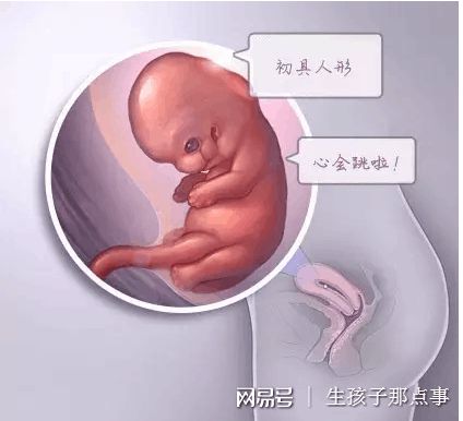 冰原生殖医学中心